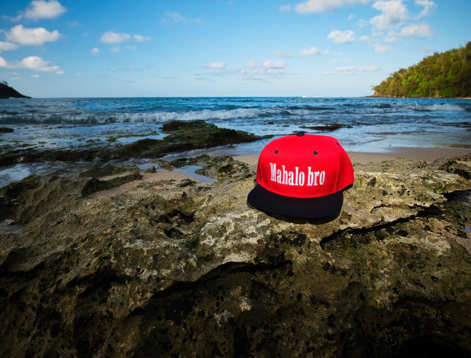 Mahalo bro SnapBack