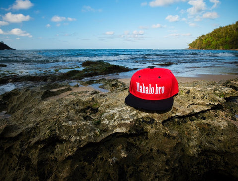 Mahalo bro SnapBack