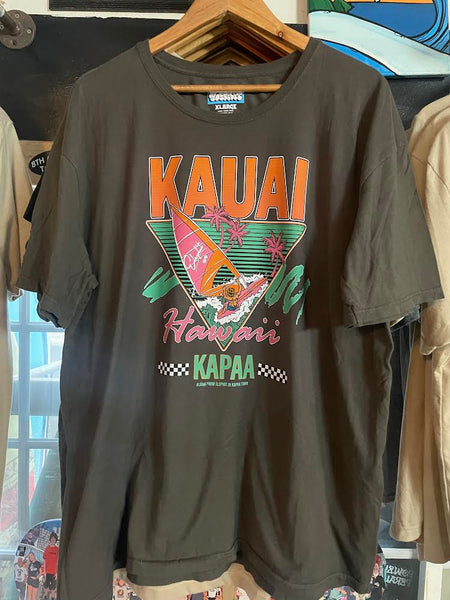 Kauai kite boarder