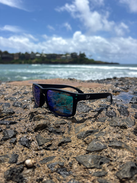 Elephit signature sunglasses