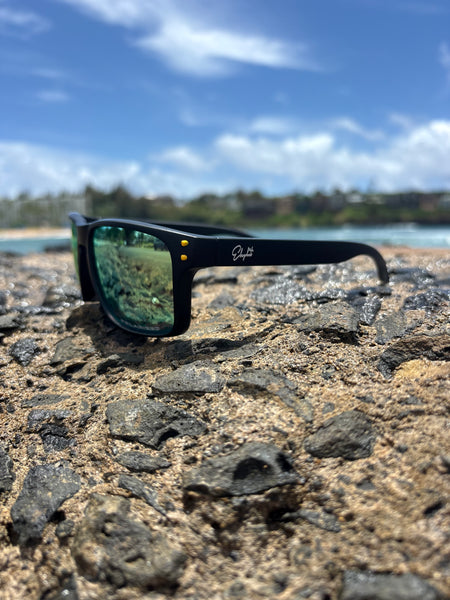 Elephit signature sunglasses