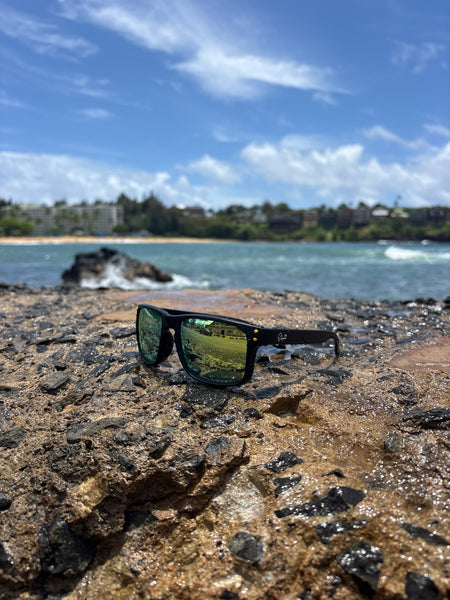 Elephit signature sunglasses