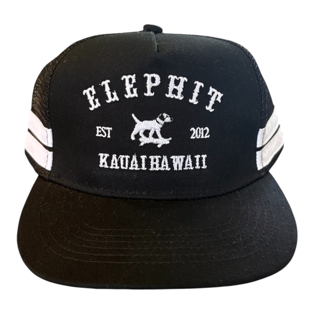 Bam goes to college hat