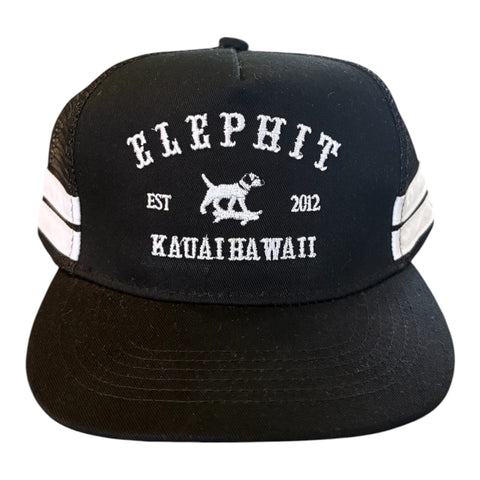Bam goes to college hat