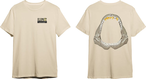Blingin Shark