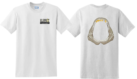Blingin Shark