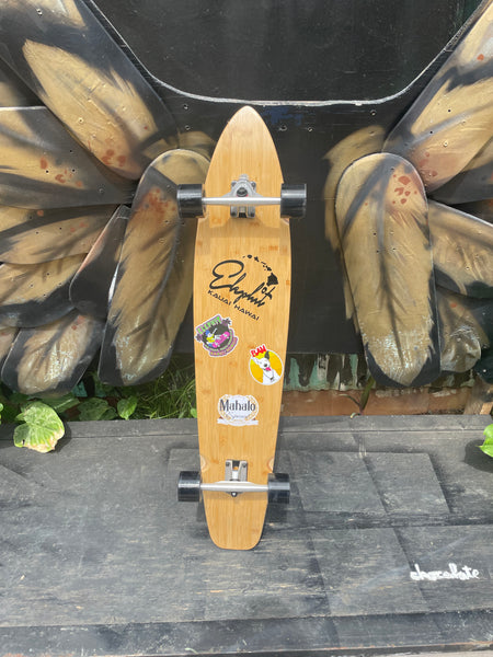 Longboard skate rental