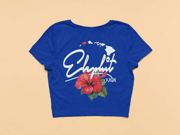 hibiscus Autz