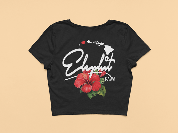 hibiscus Autz